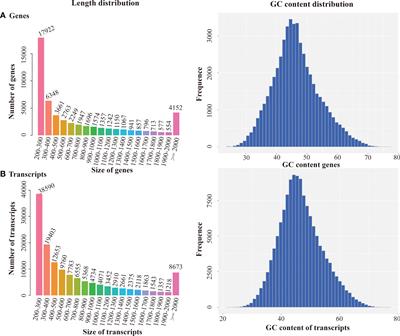 Transcriptome profiling revealed salt stress-responsive genes in Lilium pumilum bulbs